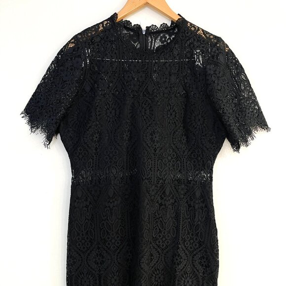 Lulus Remarkable Sheer Lace Short Sleeve Knee Length Dress Womens Size XL - Picture 3 of 12